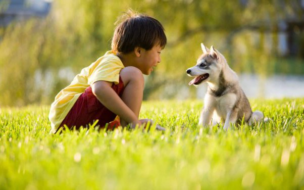 'Mẹ ơi, con nhớ mèo' - cách đơn giản nhất để giáo dục nên một đứa trẻ nhân từ là biết yêu thương động vật