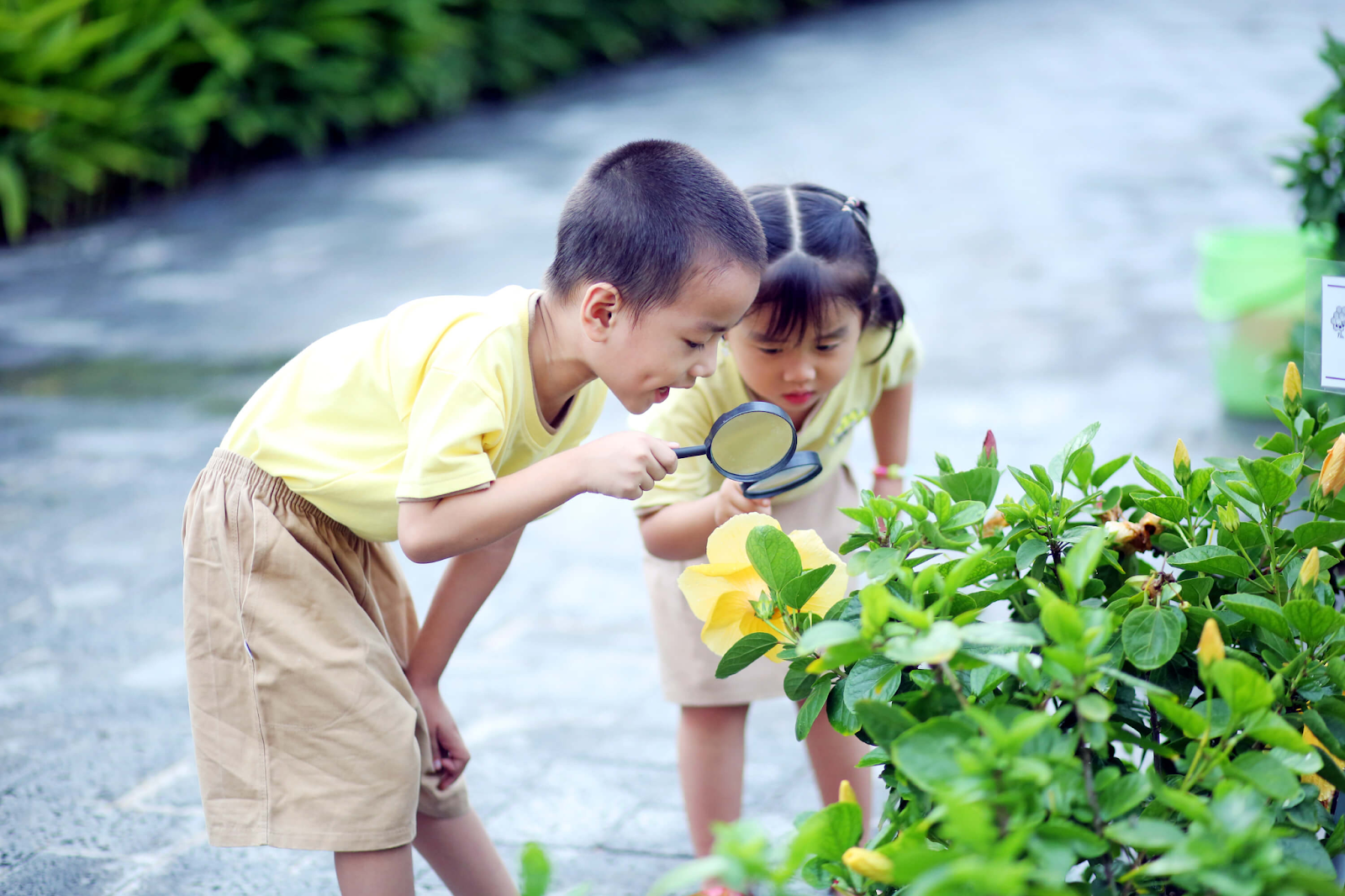 Cha mẹ thông thái trao cho con 3 điều này, con sẽ trở thành đứa trẻ cực kỳ hạnh phúc - Ảnh 1.