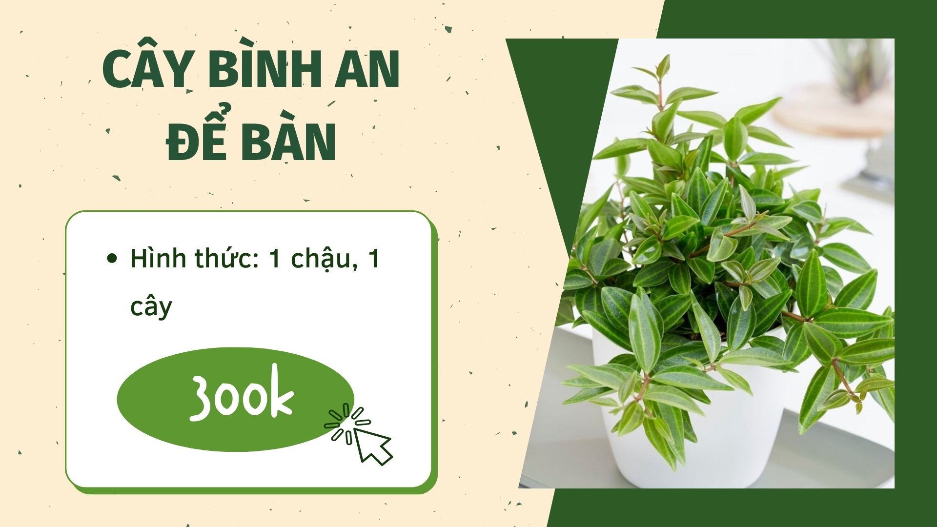 Phòng ngủ tích hợp phòng bệnh cho người cao tuổi cần sắm sửa những gì? - Ảnh 3.