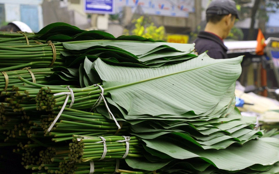 Loại lá có từ thời Lang Liêu, cứ sát Tết Nguyên đán là nhà nhà lùng mua - Ảnh 2.