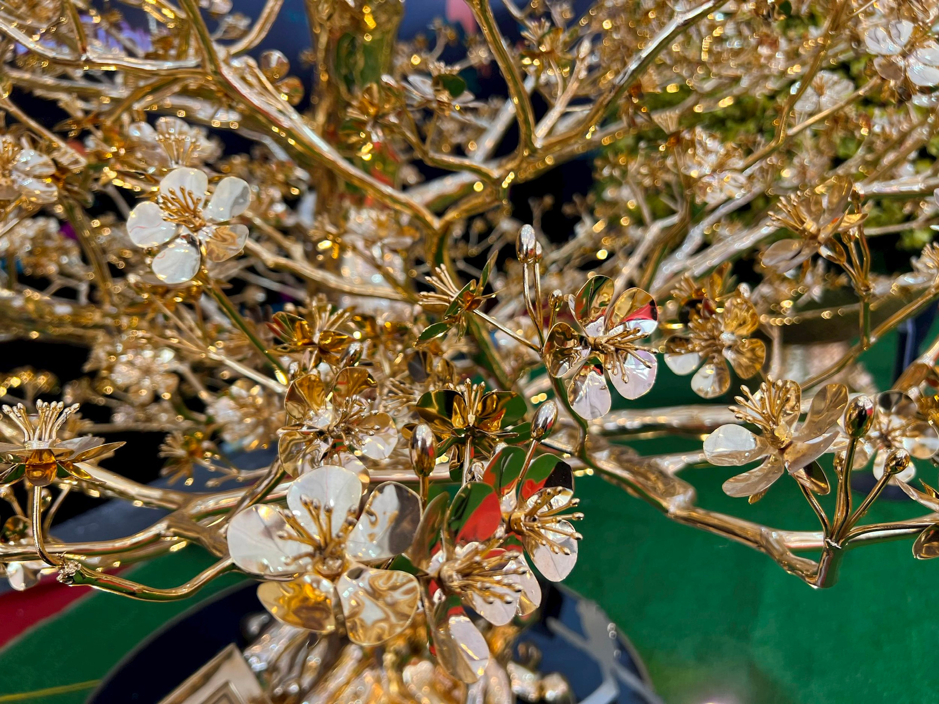 Chiêm ngưỡng cây mai mạ vàng lớn nhất Việt Nam giá 6 tỉ dịp Tết Quý Mão - Ảnh 4.
