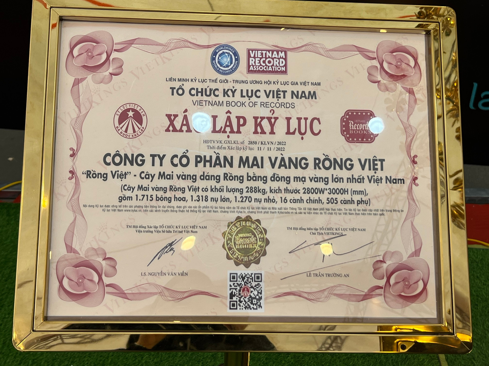 Chiêm ngưỡng cây mai mạ vàng lớn nhất Việt Nam giá 6 tỉ dịp Tết Quý Mão - Ảnh 5.