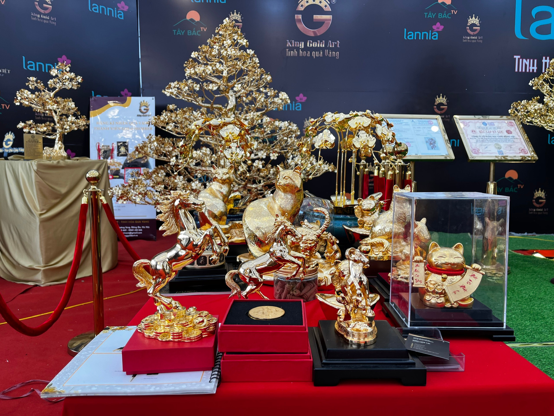 Chiêm ngưỡng cây mai mạ vàng lớn nhất Việt Nam giá 6 tỉ dịp Tết Quý Mão - Ảnh 6.