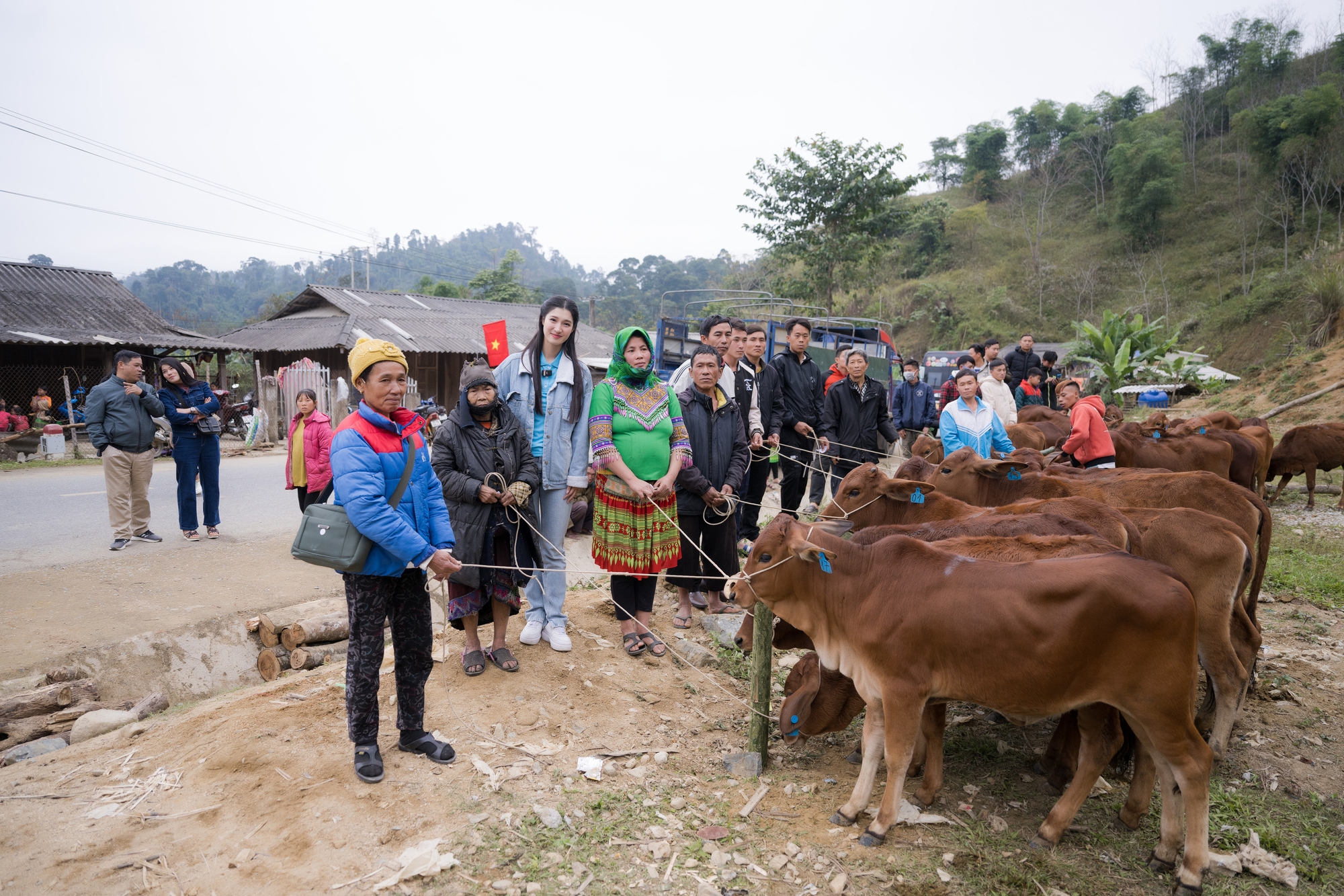 Á hậu Phương Nhi tặng bò cho nông dân nghèo quê nhà - Ảnh 1.