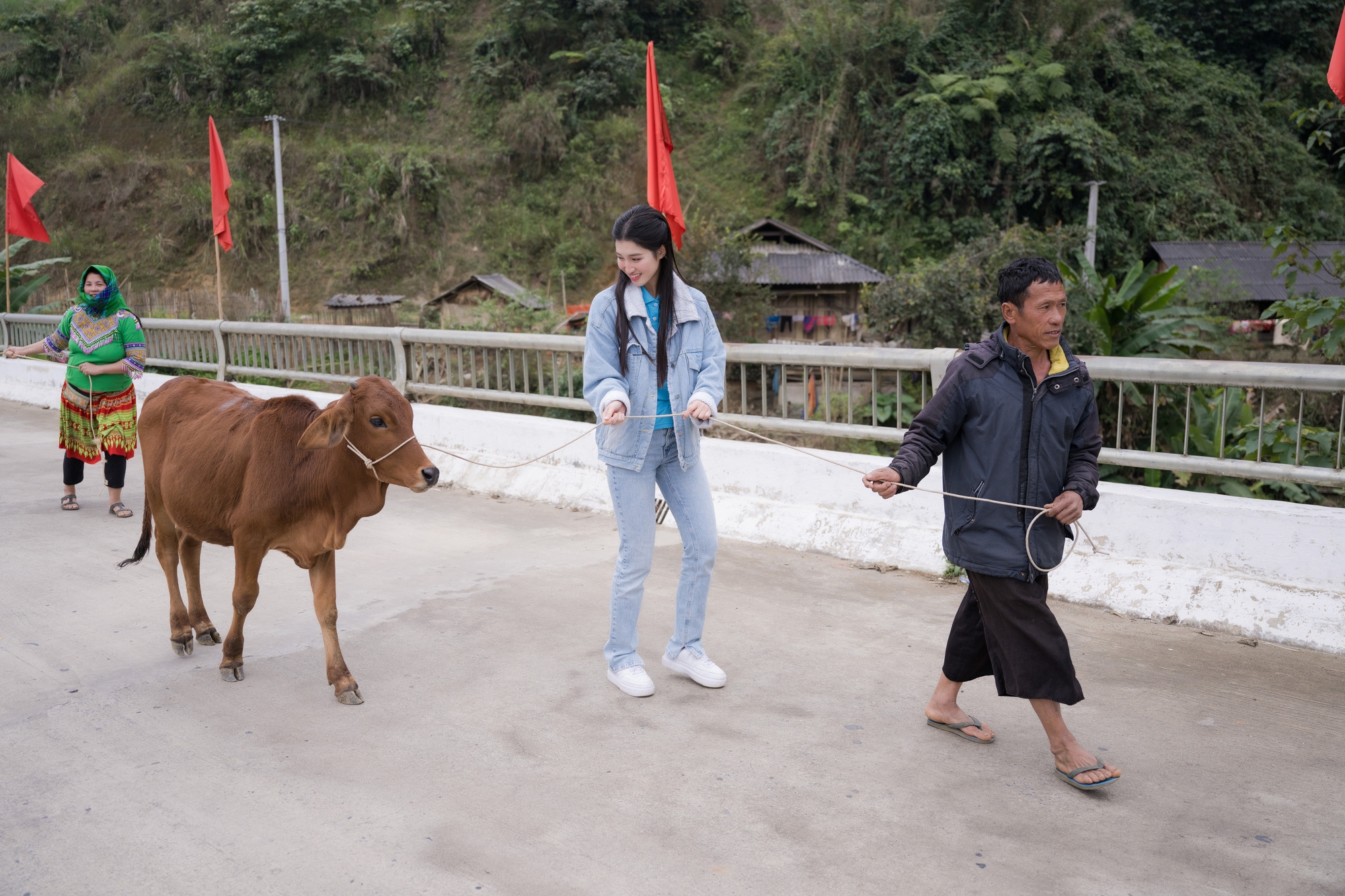 Á hậu Phương Nhi tặng bò cho nông dân nghèo quê nhà - Ảnh 2.