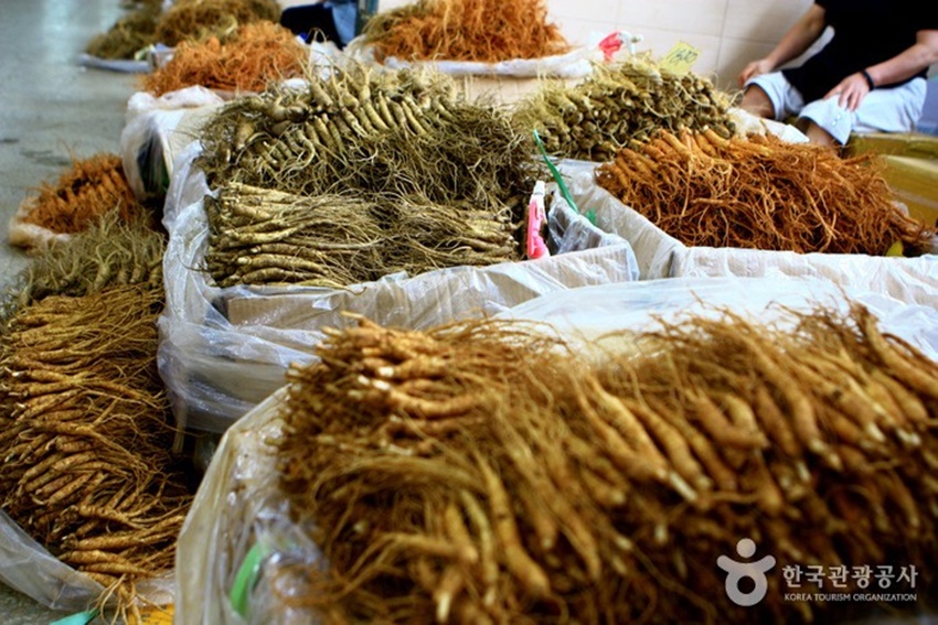 Mẹ Việt ở Hàn Quốc kể chuyện đi chợ bán &quot;rễ cây&quot; lớn nhất xứ sở kim chi, hàng bày la liệt như khoai lang nhiều đến choáng ngợp - Ảnh 3.