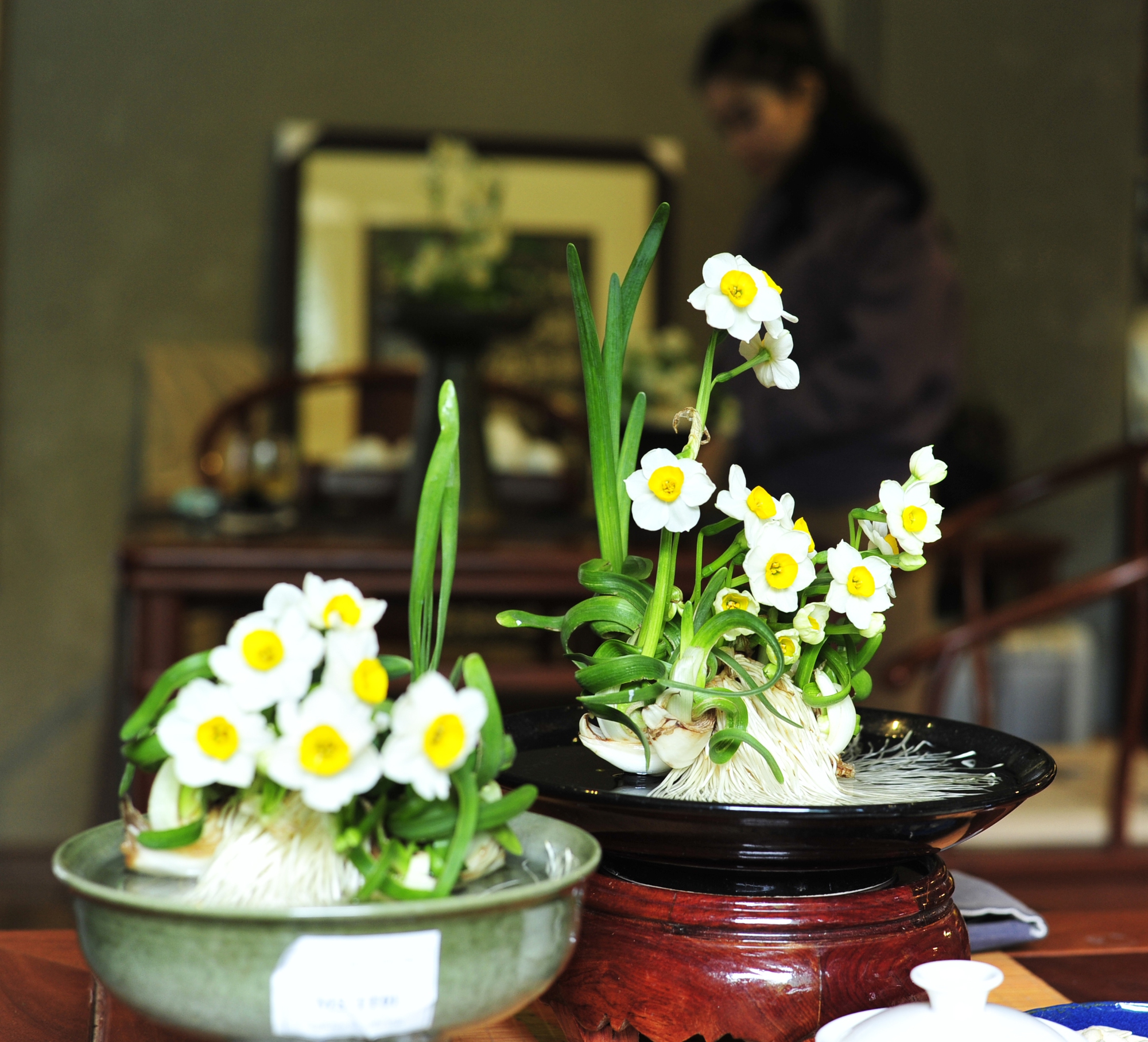 với người Hà Nội xưa, thủy tiên là loài hoa mang vẻ đẹp quý phái, là biểu tượng của sự may mắn và trường thọ.