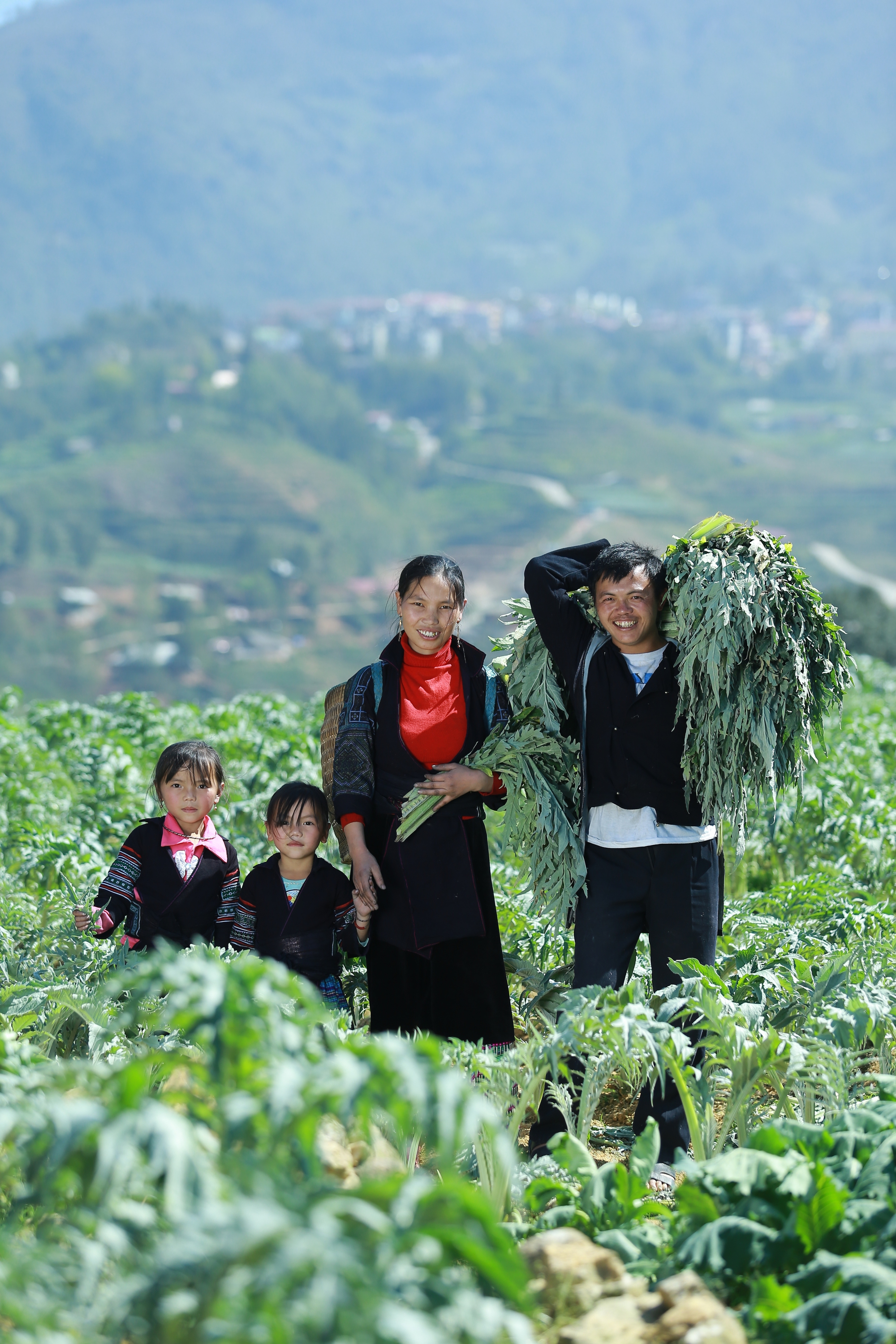 “Người tự đi đày” ở Traphaco và khát khao “đưa thảo dược lên bàn ăn, vào tour du lịch” - Ảnh 6.