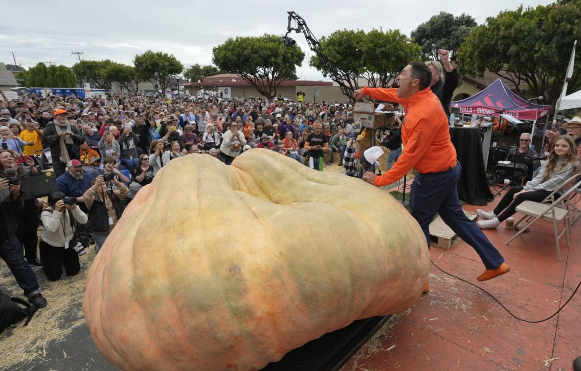 Quả bí ngô 1,2 tấn nặng nhất thế giới - Ảnh 1.