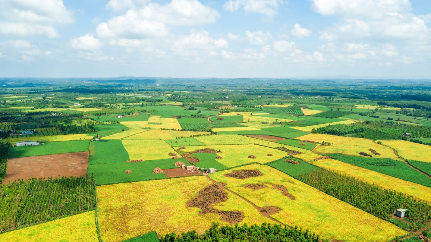 Một loại hạt giàu dinh dưỡng được ví như “thịt không xương”, nhiều canxi hơn sữa bò: Ở Việt Nam có một thương hiệu quốc gia, nỗ lực hơn 1 thập kỷ để phát triển bền vững - Ảnh 2.