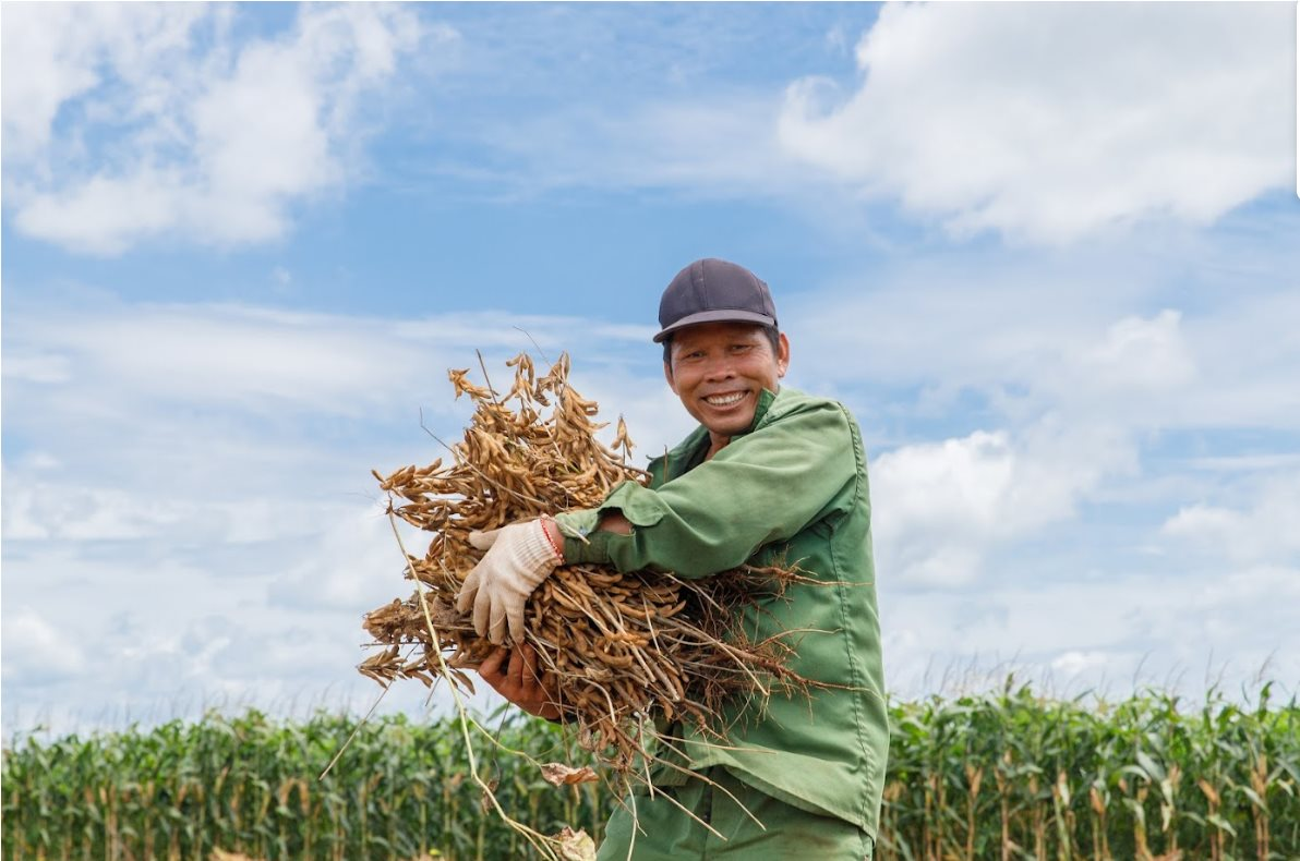 Một loại hạt giàu dinh dưỡng được ví như “thịt không xương”, nhiều canxi hơn sữa bò: Ở Việt Nam có một thương hiệu quốc gia, nỗ lực hơn 1 thập kỷ để phát triển bền vững - Ảnh 4.