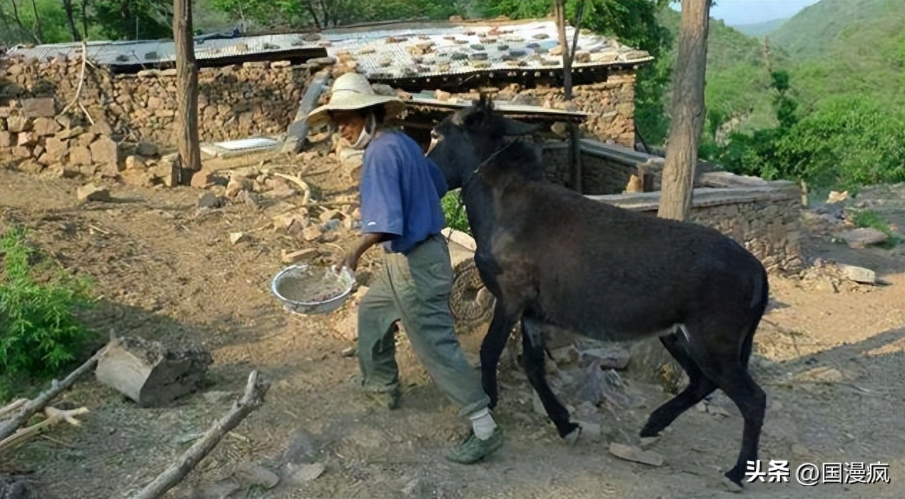 Giáo sư Bắc Đại bỏ phố lên núi sống ẩn dật 7 năm, tiêu sạch 12 tỷ tiết kiệm để nhận kết cục chua chát - Ảnh 2.