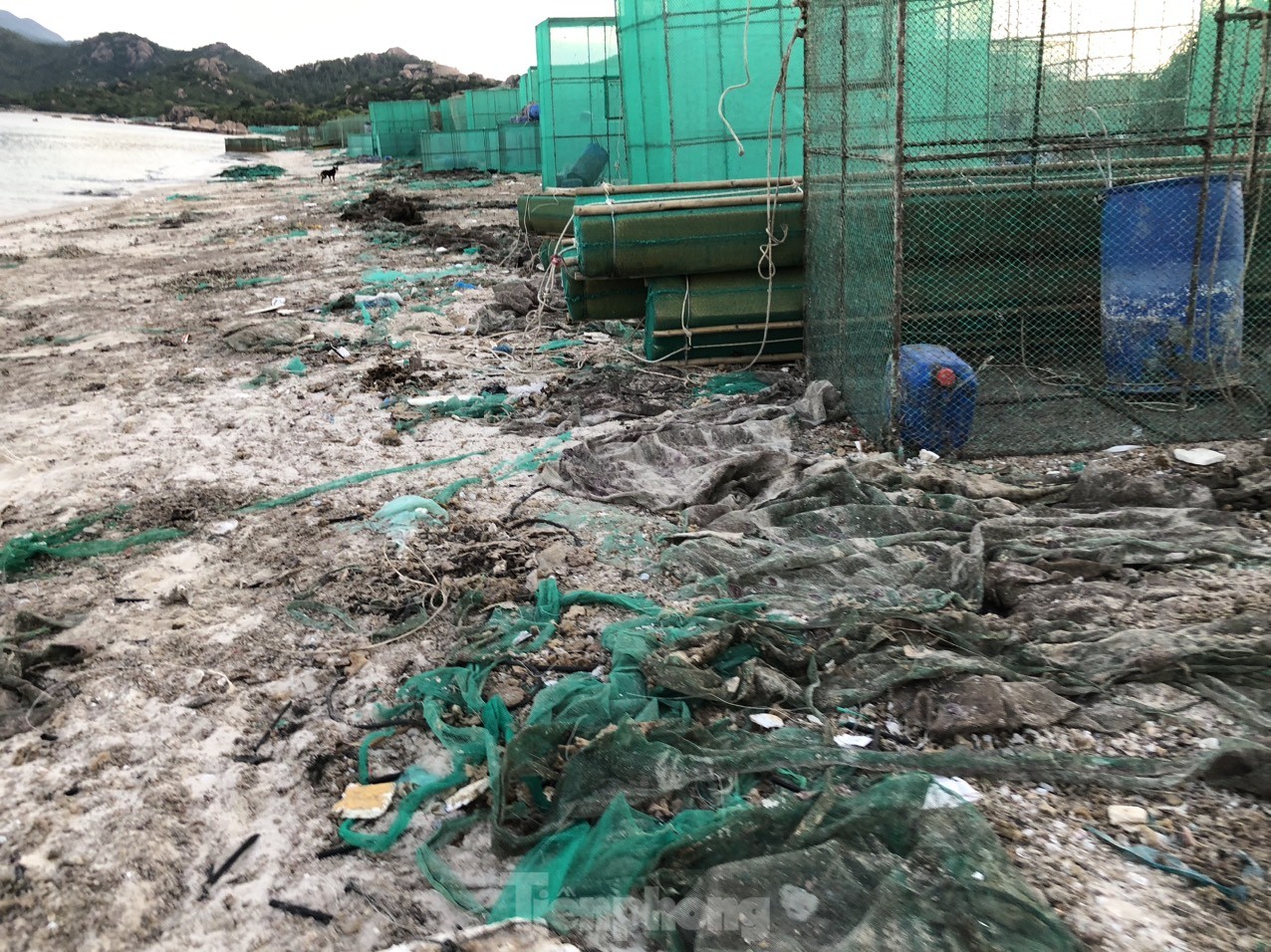 Bãi biển đẹp như Maldives ở vịnh Cam Ranh bị 'nghĩa địa rác' tàn phá - Ảnh 7.