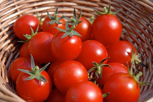 Ăn cà chua cần tránh những sai lầm này kẻo ngộ độc, suy giảm chức năng thận - Ảnh 2.