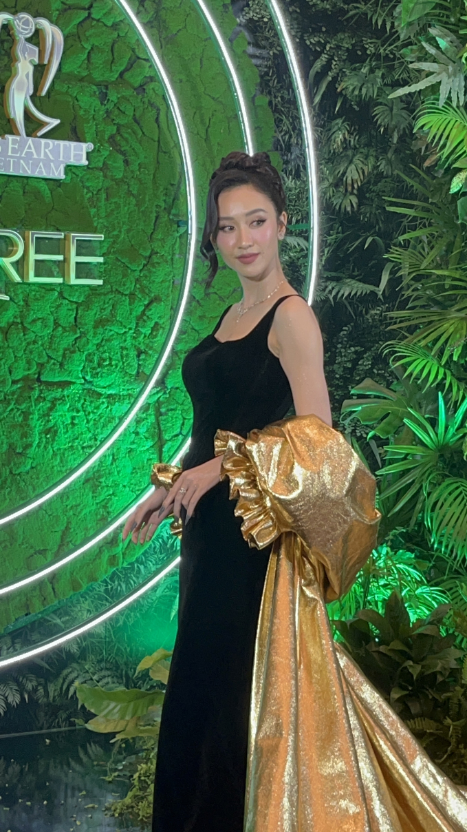 Bùi Quỳnh Hoa vắng mặt tại chung kết Miss Earth Vietnam hậu lùm xùm đời tư, BTC nói gì? - Ảnh 5.