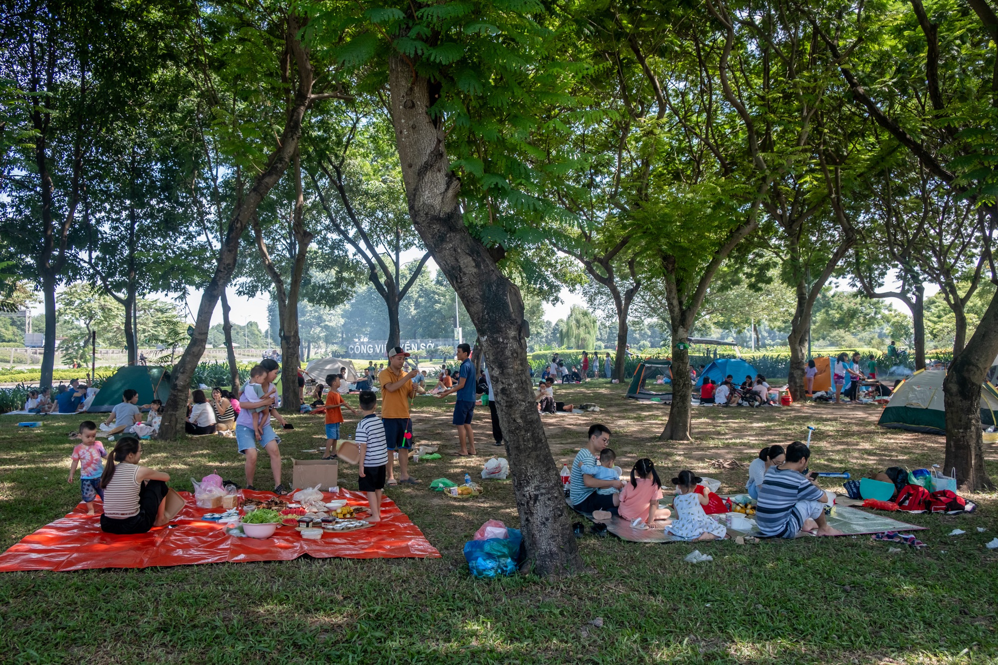 Công viên đô thị lớn nhất Việt Nam, có cả khu riêng dành cho thú cưng  - Ảnh 3.