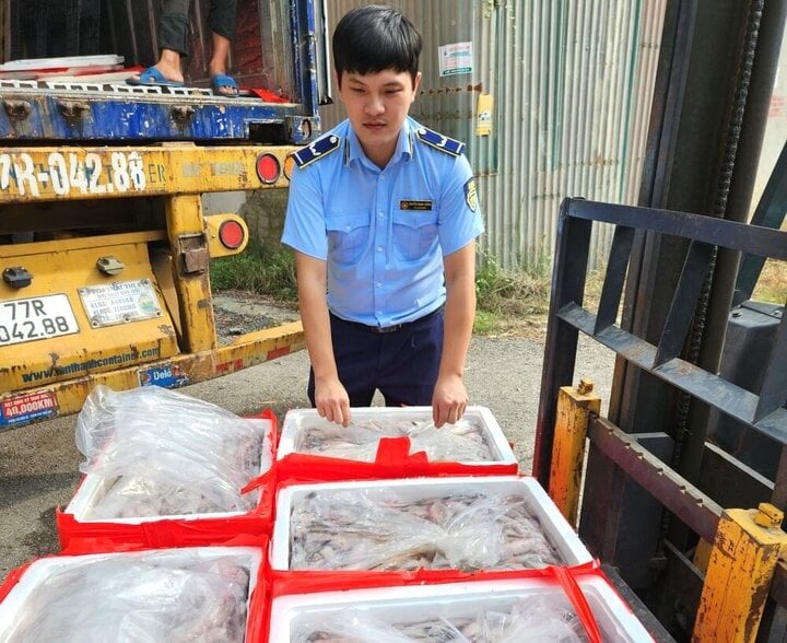 Bắt giữ xe đầu kéo Bình Định vận chuyển gần 5 tấn cá khoai có chứa formol - Ảnh 1. Bắt giữ xe đầu kéo Bình Định vận chuyển gần 5 tấn cá khoai có chứa formol - Ảnh 1.