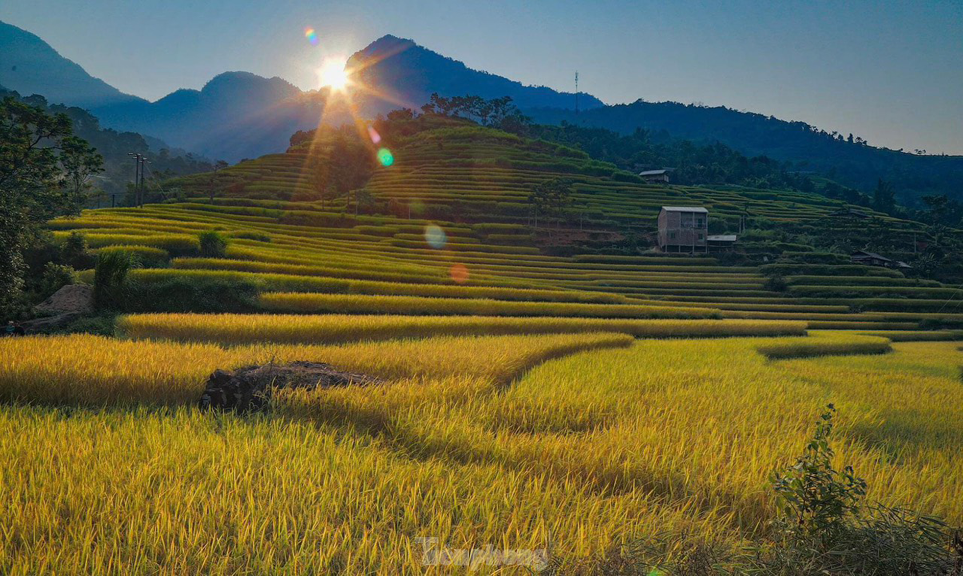 Những tọa độ check-in ruộng bậc thang đẹp nhất Hà Giang - Ảnh 6.