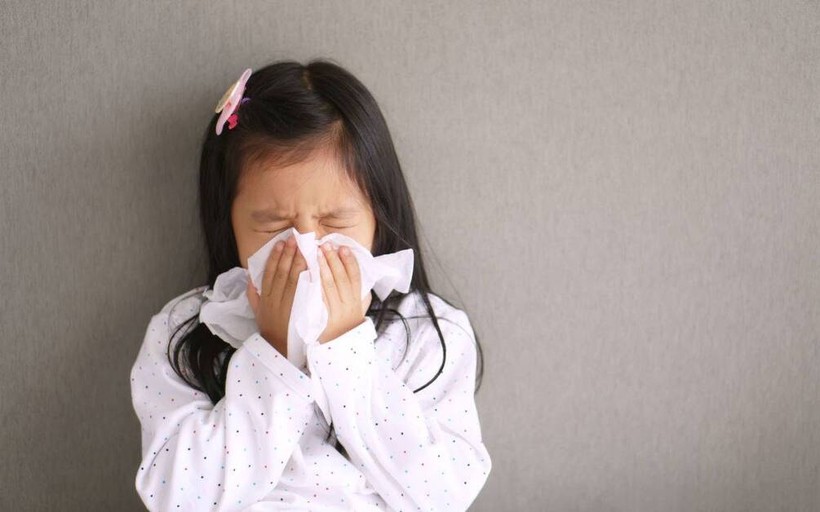 Thứ trẻ ôm ấp hằng ngày có thể khiến bệnh viêm mũi dị ứng trở nặng - Ảnh 2.