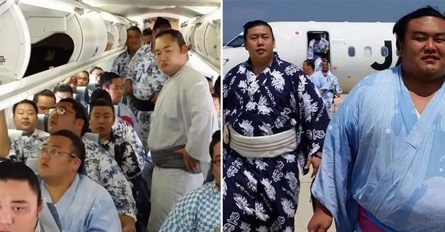 Đoàn sumo rầm rộ lên máy bay khiến hãng hàng không 