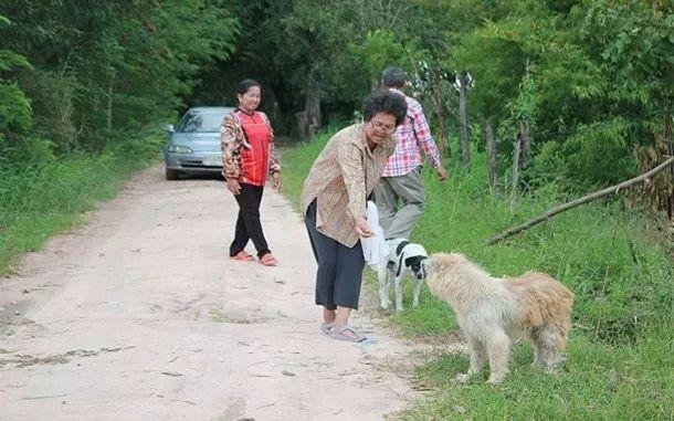 Chú chó đợi chủ suốt 4 năm nhưng không chịu về nhà khi đoàn tụ: Sự thật phía sau lấy nước mắt bao người - Ảnh 6.