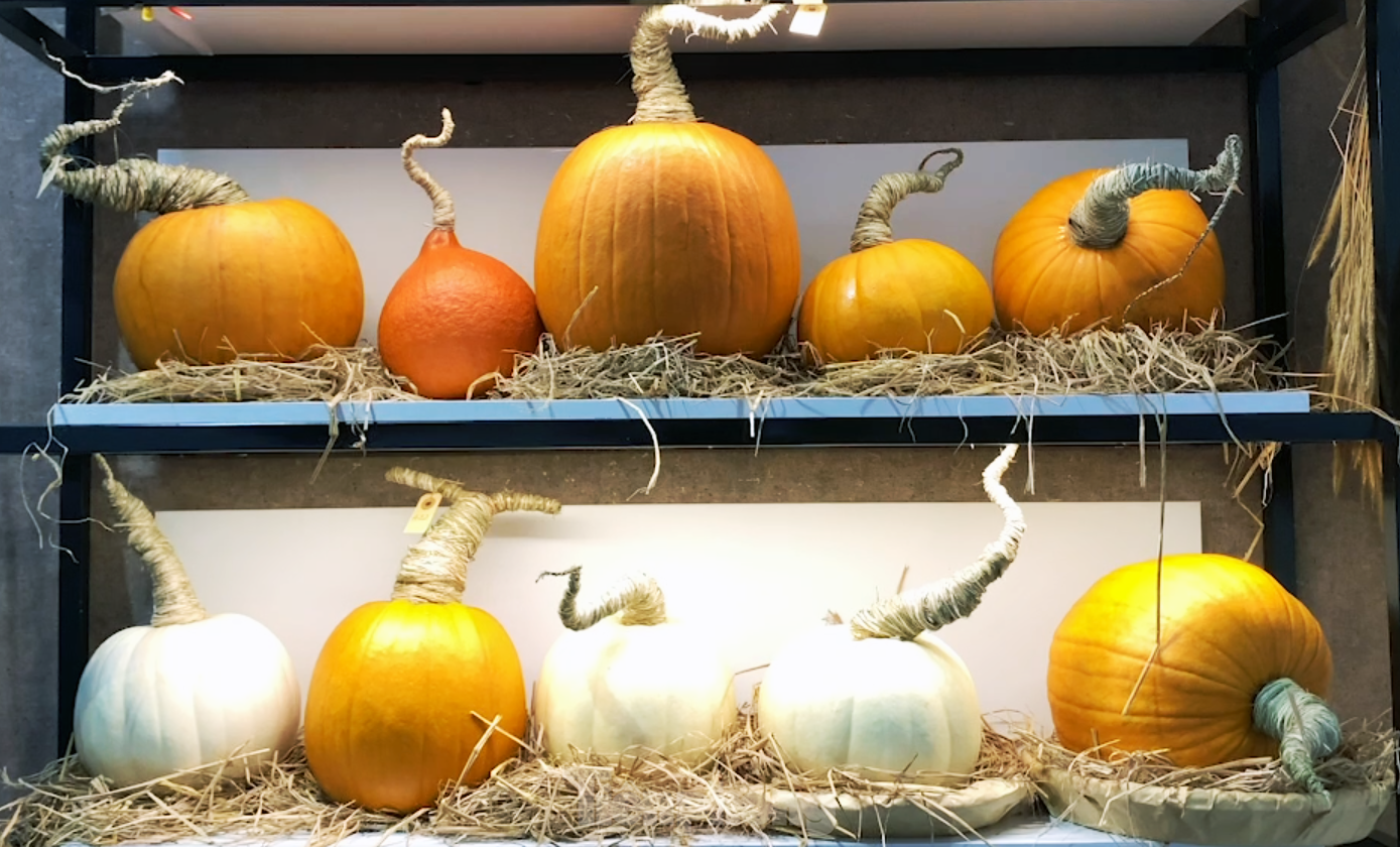 dịp Halloween