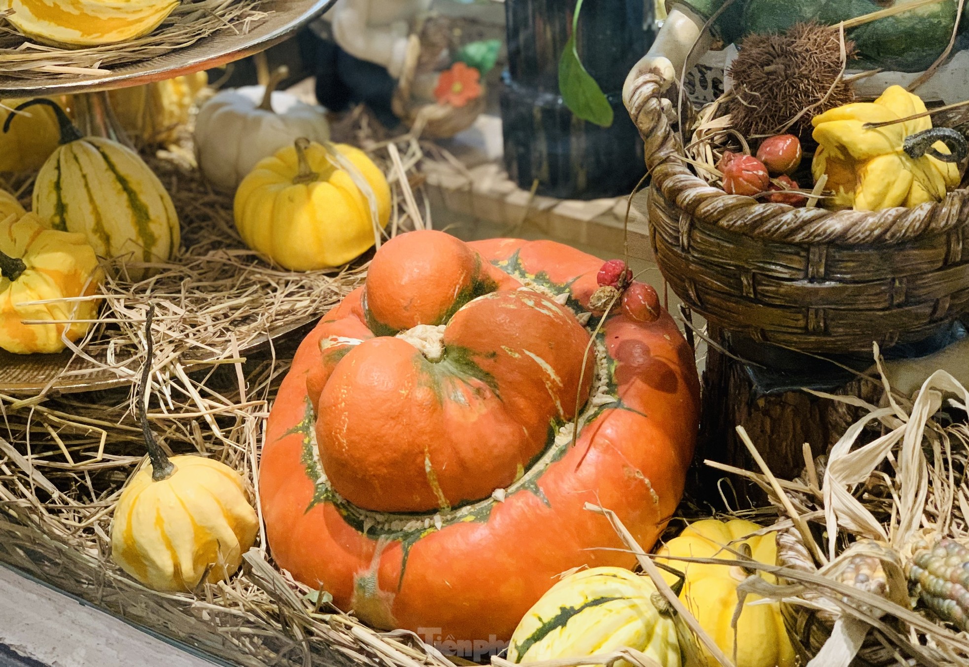 dịp Halloween