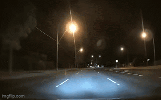 Đang lái xe trong đêm thì bị 1 kẻ đáng sợ chặn đường, tài xế có pha xử lý khôn ngoan