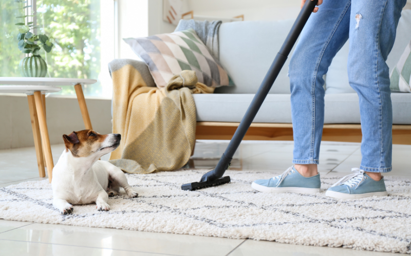 Muốn hóa giải hạn Thái Tuế năm 2024 cần chú ý đến hai vị trí này trong nhà - Ảnh 1. Áp dụng phong thuỷ trong bố trí nhà cửa là một cách hoá giải hạn Thái Tuế 2024 hiệu quả.