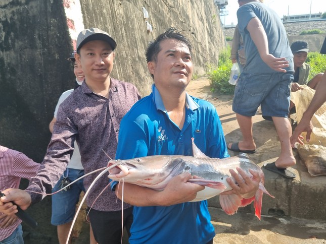 Người dân trúng cá to, bán tiền triệu sau khi thủy điện Trị An ngưng xả nước lần 3 - Ảnh 6.