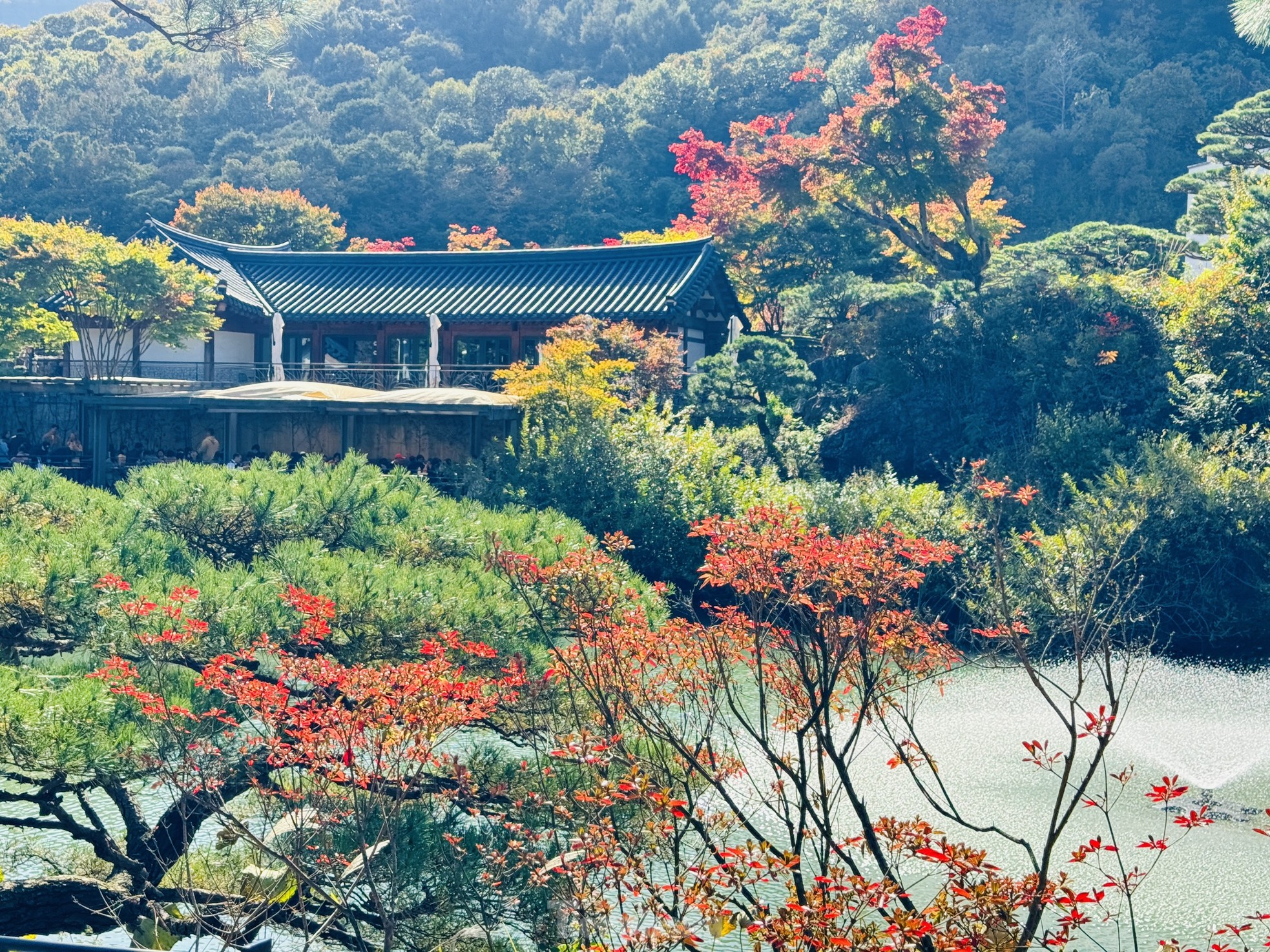 Du khách bị mùa thu Hàn Quốc mê hoặc - Ảnh 5.