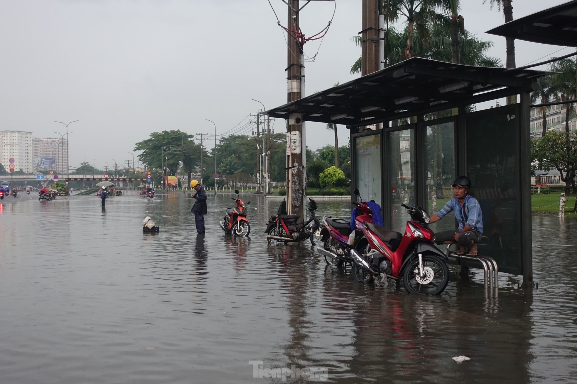 Mưa lớn kết hợp triều cường, Quốc lộ 1 qua TPHCM tê liệt vì ngập sâu - Ảnh 18.