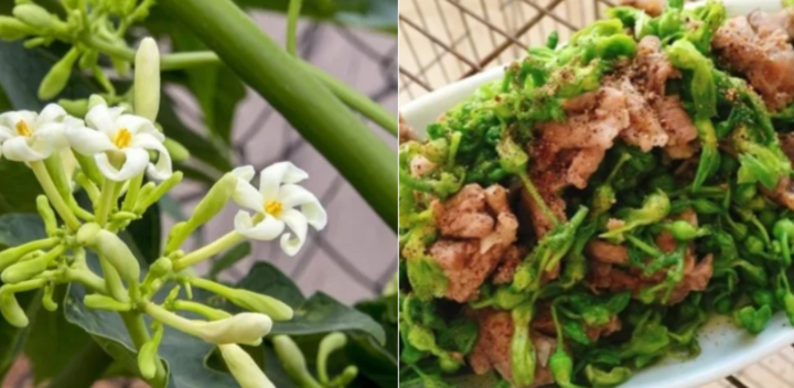C&aacute;ch chế biến 5 m&oacute;n ngon từ hoa đu đủ đực - Ảnh 1.
