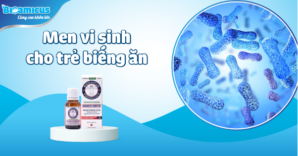  5 t&aacute;c dụng của men si vinh trong đẩy l&ugrave;i chứng biếng ăn ở trẻ - Ảnh 1.