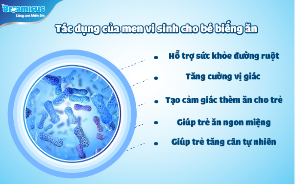  5 t&aacute;c dụng của men si vinh trong đẩy l&ugrave;i chứng biếng ăn ở trẻ - Ảnh 2.