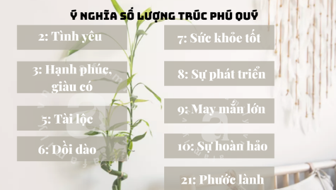 Đây là lý do người giàu thích đặt cây trúc phú quý lên bàn thờ - Ảnh 5.