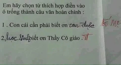 Học sinh đặt câu với từ phức khiến cô giáo tá hỏa: Mới chút tuổi mà đã triết lý thế này! - Ảnh 3. Học sinh đặt câu với từ phức khiến cô giáo tá hỏa: Mới chút tuổi mà đã triết lý thế này! - Ảnh 3.