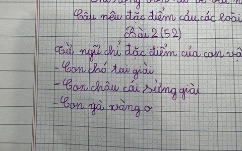 Học sinh đặt câu với từ phức khiến cô giáo tá hỏa: Mới chút tuổi mà đã triết lý thế này! - Ảnh 6. Học sinh đặt câu với từ phức khiến cô giáo tá hỏa: Mới chút tuổi mà đã triết lý thế này! - Ảnh 6.