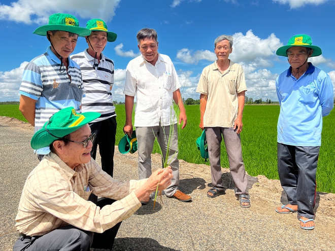 Doanh nghiệp phân bón khuyến cáo nông dân bón ít hơn và câu chuyện phát triển nông nghiệp bền vững vùng Đồng bằng Sông Cửu Long - Ảnh 4.