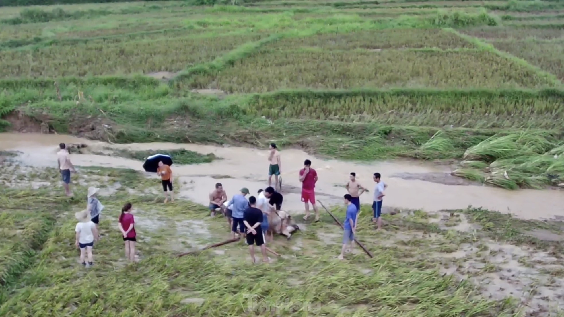 Mưa lớn ở Yên Bái khiến giao thông tê liệt, tạm dừng chạy tàu Hà Nội-Lào Cai - Ảnh 9.