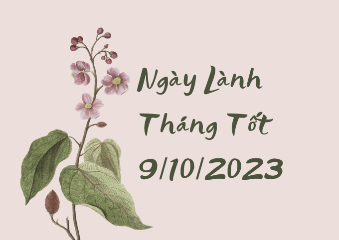 Xem ngày lành tháng tốt 9/10/2023: Mọi thứ đều suôn sẻ, dù gặp việc dữ cũng hóa lành! - Ảnh 2.