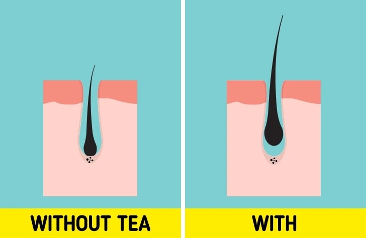 Lợi &iacute;ch khi uống 4 t&aacute;ch tr&agrave; mỗi ng&agrave;y - Ảnh 2.
