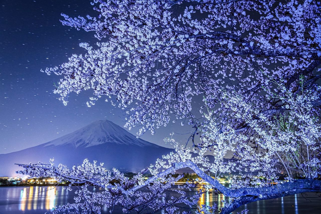 Từng &quot;phát ngán&quot; mỗi khi thấy núi Phú Sĩ, chàng thanh niên khiến cả thế giới ngỡ ngàng với những bức ảnh đẹp mê đắm về ngọn núi già của quê hương - Ảnh 12.