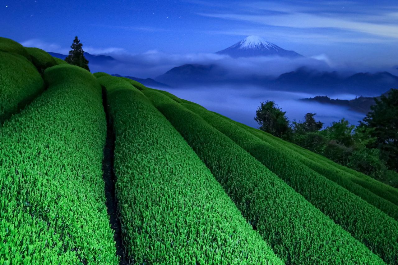 Từng &quot;phát ngán&quot; mỗi khi thấy núi Phú Sĩ, chàng thanh niên khiến cả thế giới ngỡ ngàng với những bức ảnh đẹp mê đắm về ngọn núi già của quê hương - Ảnh 10.
