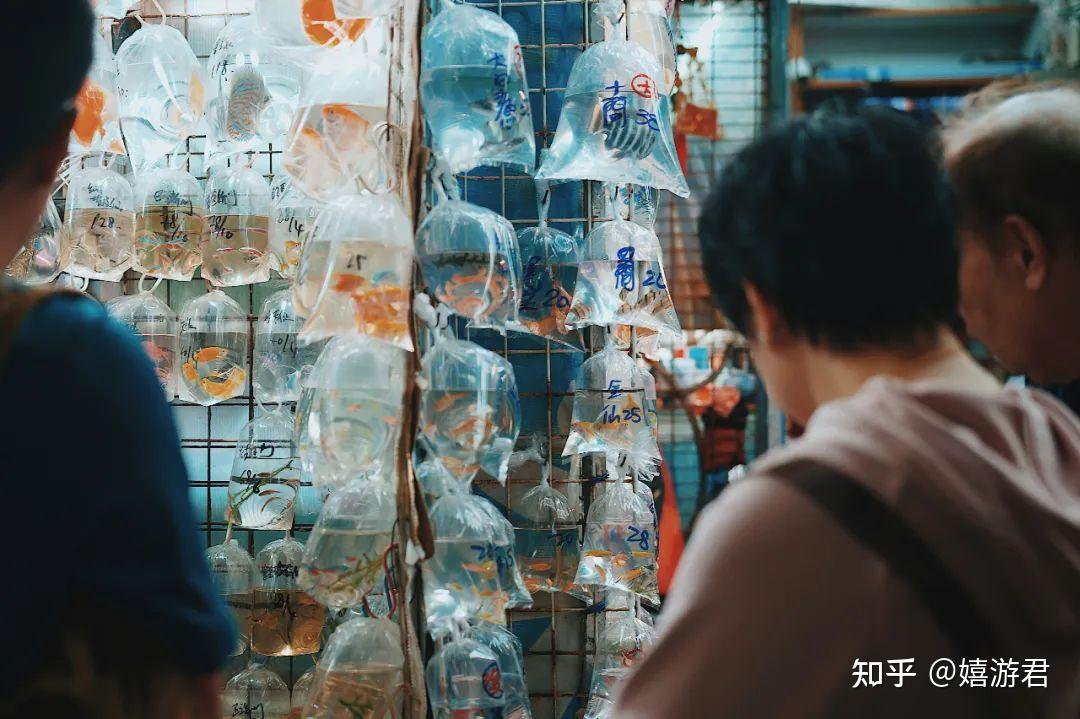 Blogger chia sẻ một ngày ăn chơi xả láng tại quận "nghèo nhất" Hồng Kông (Trung Quốc): Trả giá thoải mái, thứ gì cũng có!- Ảnh 16.