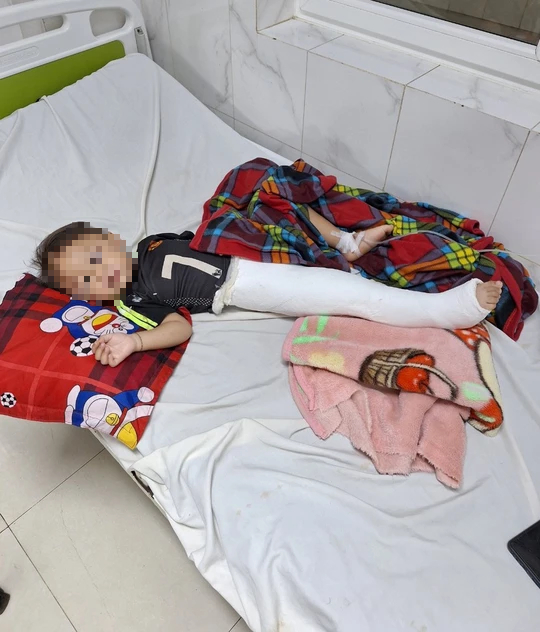 Xác minh thông tin gây tai nạn rồi vứt bé 2 tuổi vào bụi rậm - Ảnh 1. Xác minh thông tin gây tai nạn rồi vứt bé 2 tuổi vào bụi rậm - Ảnh 1.