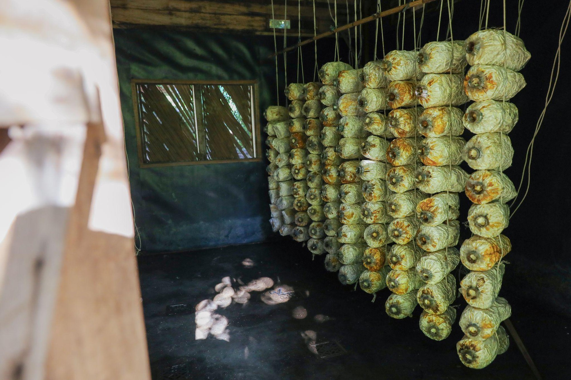 Photo Story: Nỗ lực phát triển bền vững trong ngành du lịch của Six Senses Ninh Van Bay - Ảnh 10.