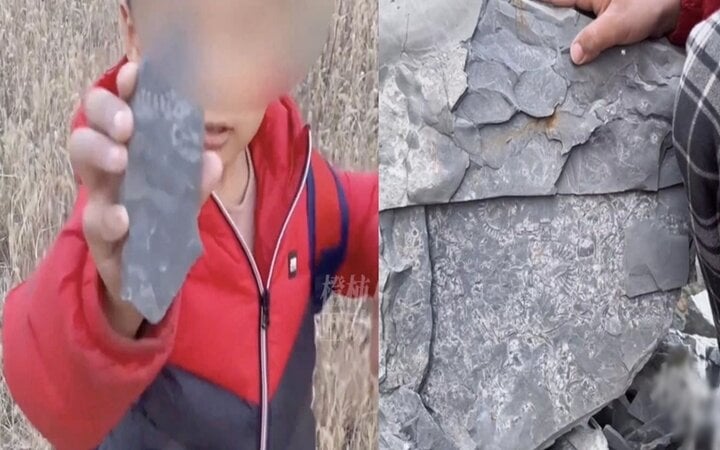 Chơi trò đào kho báu, bé trai 5 tuổi tìm thấy hóa thạch 500 triệu năm - Ảnh 2.