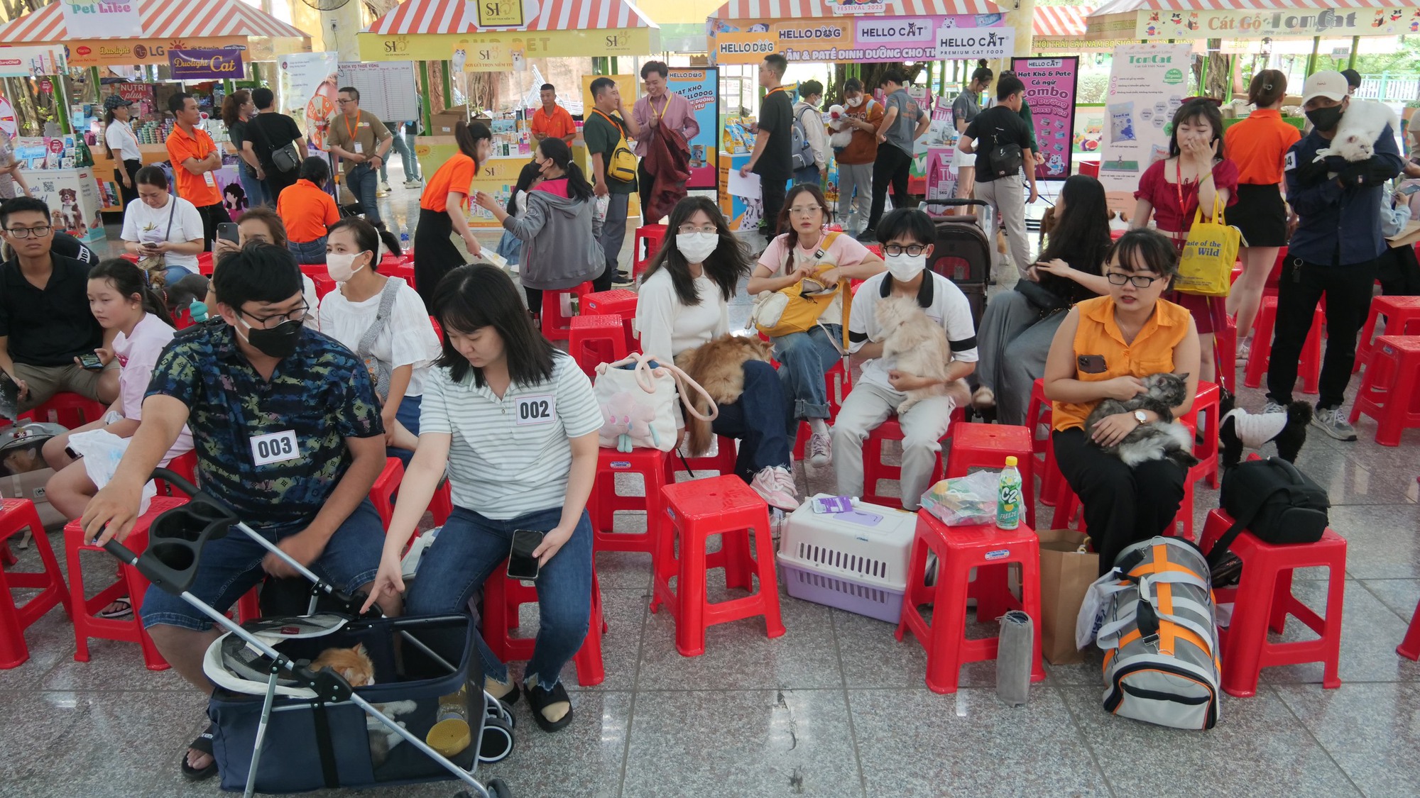 Chó biết làm toán, mèo 300 triệu xuất hiện tại ngày hội độc đáo lần đầu tổ chức ở TP.HCM - Ảnh 1. Chó biết làm toán, mèo 300 triệu xuất hiện tại ngày hội độc đáo lần đầu tổ chức ở TP.HCM - Ảnh 1.