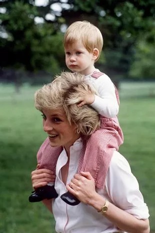 Sự thật đằng sau món quà sinh nhật cuối cùng của Harry mà cố Vương phi Diana chưa kịp tặng con trai thì gặp nạn- Ảnh 2.